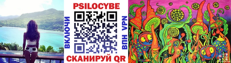 как найти   Игра  Галлюциногенные грибы Psilocybine cubensis 